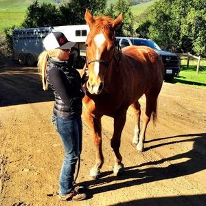 Meet your Posher, Devin